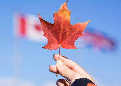 申请加拿大签证有领区划分吗？