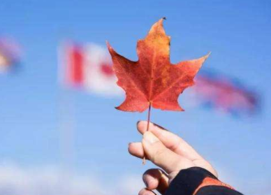 加拿大使馆提醒在加留学生注意有关事项